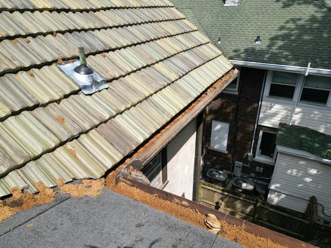 Roof inspection DeSoto County